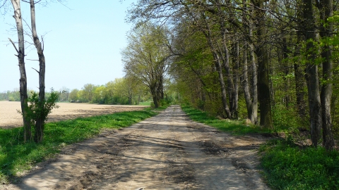 21.04.2018  Świdnica - Milikowice - Pasieczna - Stanowice - Olszany - Modlęcin - Rzędziny - Świebodzice - Świdnica.