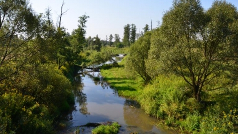 Pętla Wilcza Wola-Nowy Nart-Wilcza Wola