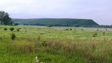 Okolice Wyspy Sobieszewskiej