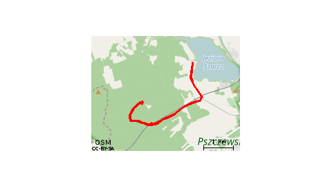 2017.08.07 Grzybobranie