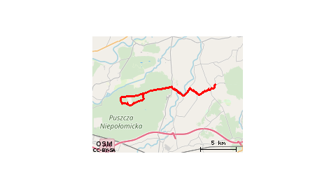 38A Puszcza Niepołomice