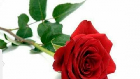 13.07.2017 18:27 Test