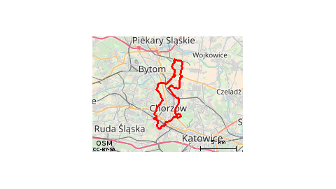 Brzeziny I Z Powrotem  