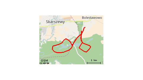 Bolesławowo 50