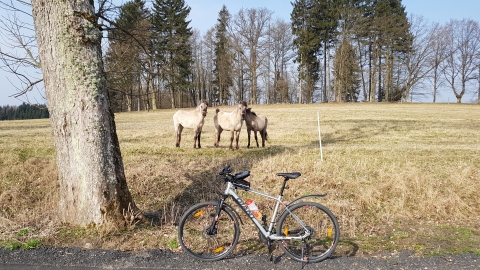 koszalin-ząbrowo.gpx