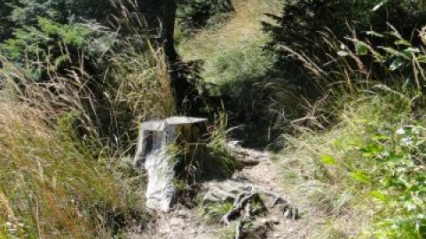 Bielsko-Biała - Brenna