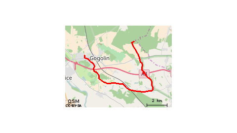 Szpica-Jasiona-Gogolin