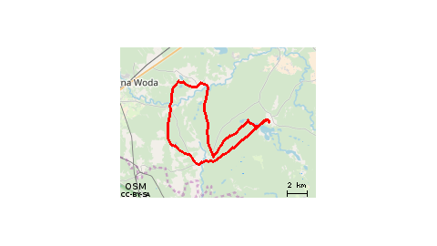 Stażysta Zimne Zdroje 