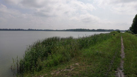 Łęczna Jeziora Łęczna 