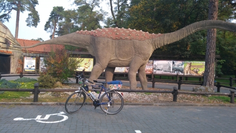 Solec Kujawski Nowa Wieś Wielka