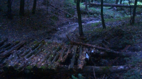 Gostyń-Klony-StaryGostyń-Daleszyn-Dusina