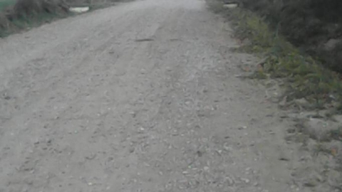 Ciechanów - Łopacin - Gołotczyzna 