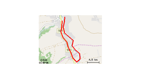 11.06.2017 11:11 jazda z dziecmi na pokazy konne NOR&NOS