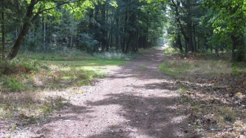 Odwiedziny u Bobrzej rodziny