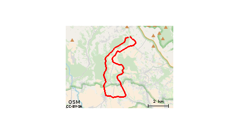 2018-19 Nietoperzowa