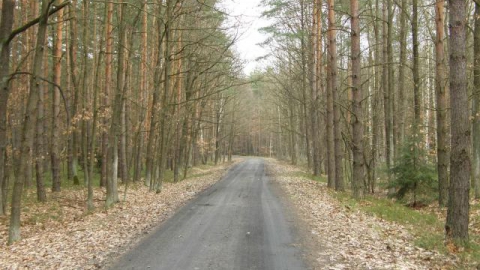 Lubin - Górzyca - Michałów