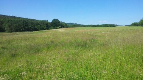 Wulkan Velky Roudny / Slezska Harta