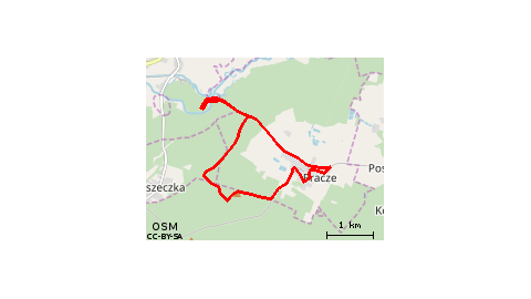 Na orzechy W Praczach