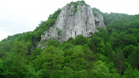 Kraków - Ojców - Kraków