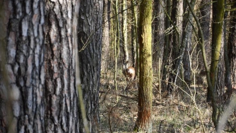 Moja trasa (2015-04-11, 10:28)