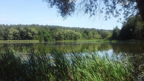 Szlak czerwony Kraśnik ? Zwierzyniec 