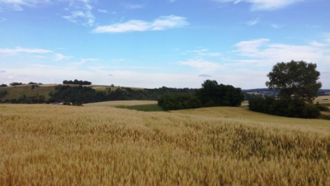 Kozubowski Park Krajobrazowy - pętla