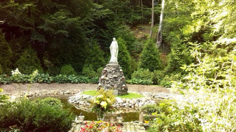 Zródło Marii Gdynia