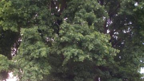 Sieradz - Bogumiłów - Kłocko