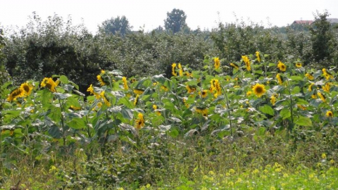 Warszawa-Czersk-Warszawa