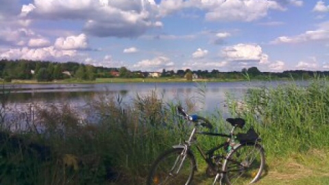 Częstochowa-Herby-Olszyna