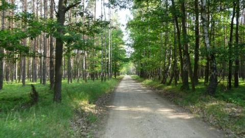 Działoszyn przez Osjaków