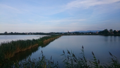 Goczalkowice - Kopalnia Silesia - Goczalkowice 