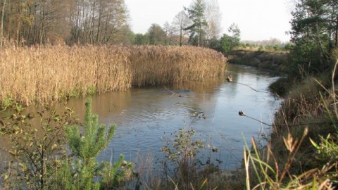 Sosnowiec - Maczki - Sosnowiec