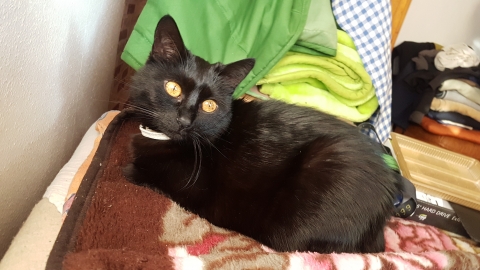 MACIEJOWA .12.09.2017 11:48