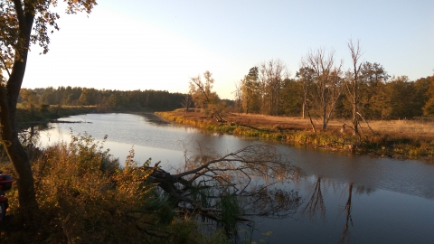 Dębno Nowe Miasto Radliniec 
