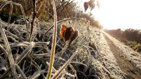 Oświęcim - Andrychów