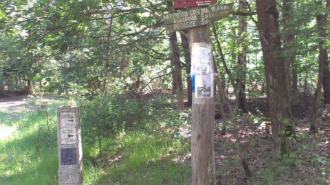 Pobiedziska - Murowana Goślina