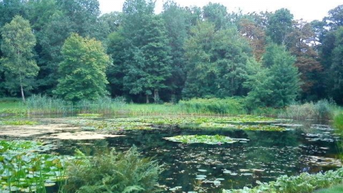 do kompleksu parkowo-pałacowego w Ostromecku