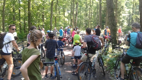 X Rajd Gościńcem Niborskim