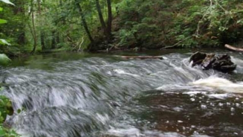 Krasnobród - Zwierzyniec