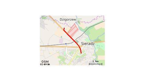 Dzigorzewska 4