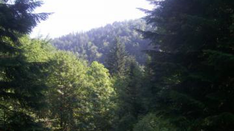 Nowy Sącz - Przehyba - Radziejowa