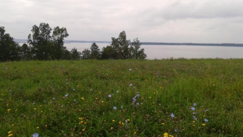 Giżycko - Sztynort - Wilkasy