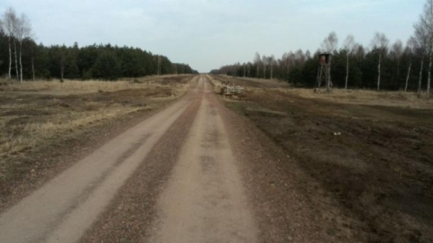 W poszukiwaniu historii