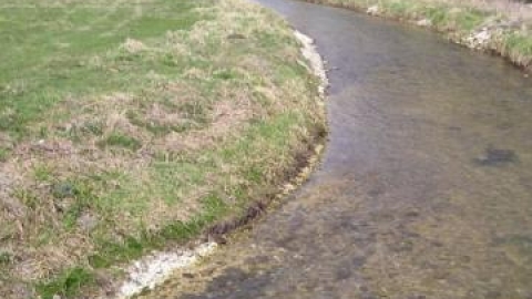 Julianka - Cielętniki