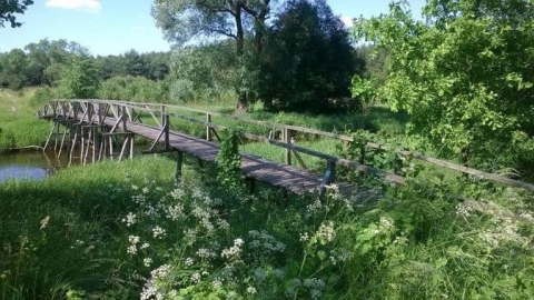 Częstochowa-Wąsosz Górny-Częstochowa