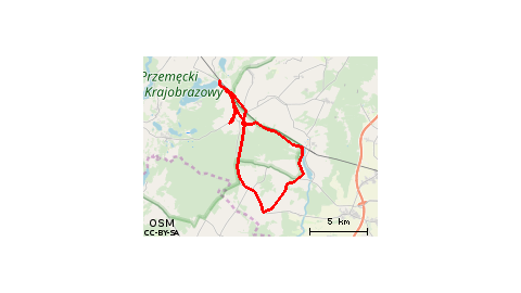 Boszkowo-Letnisko - PKP - Ujazdowo - Boszkowo-Letnisko - Włoszakowice - Budomex - Boszkowo-Letnisko - Dino - Włoszakowice - Adamowo - Krzycko Wielkie - Gołanice - Niechłód - Zbarzewo - Krzyżowiec - Włoszakowice - Boszkowo-Letnisko - Ujazdowo 