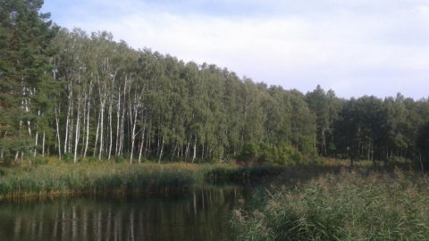 Poznań-Morasko-Strzeszynek-Poznań