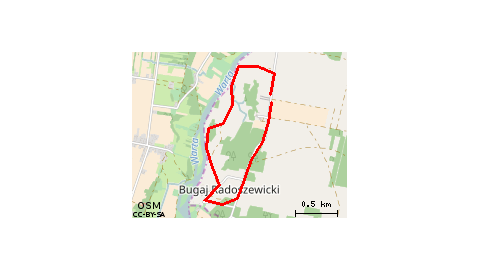 Zmyślona - Bugaj Radoszewicki