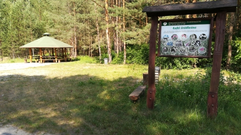 Stalowa - Obojna - Jamnica - Stalowa